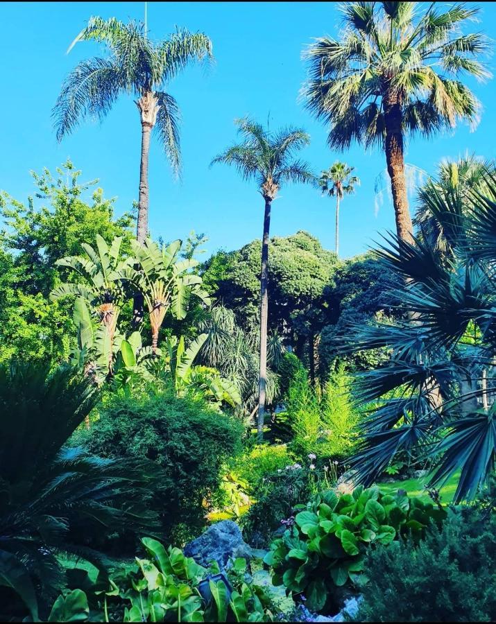 Home For 2 Few Steps From Casino Monte Carlo And Beach Beausoleil Bagian luar foto